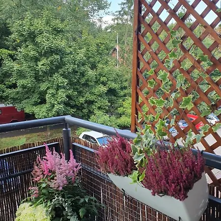 Apartament Pod Lasem *